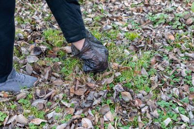 Low section of person wearing autumn leaves on land