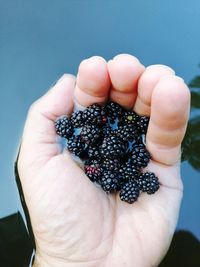 Close-up of hand holding strawberry