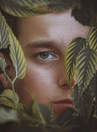 Portrait of boy looking through plants