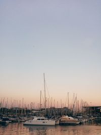 Sailboats moored in harbor at sunset