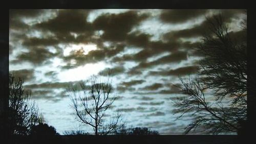 Bare trees against cloudy sky