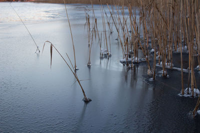 Scenic view of lake during winter