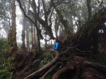 Man amidst trees in forest