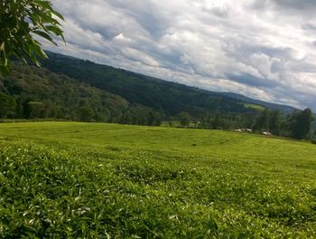 Scenic view of landscape against sky