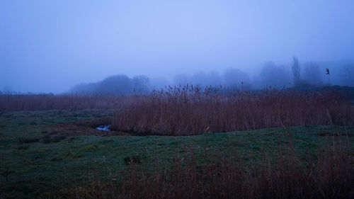 Scenic view of landscape against sky
