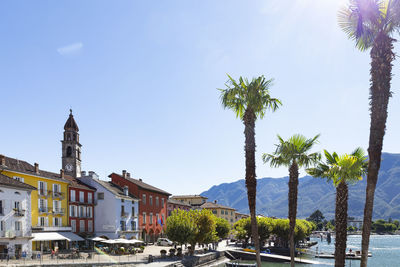 Street by palm trees and buildings against sky