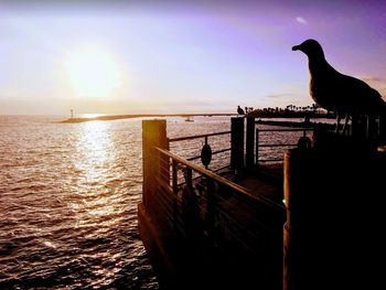 Silhouette bird perching on sea against sky during sunset