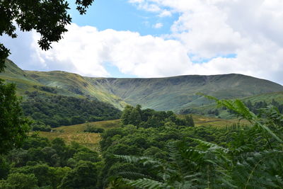 Low angle view of green landscape against sky