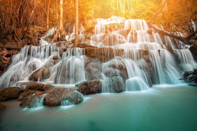 View of waterfall in forest