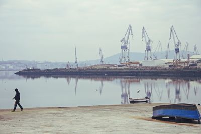 Man walking by lake against cranes