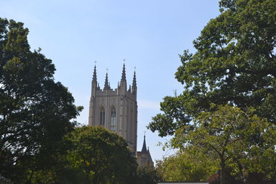 Low angle view of trees and buildings against sky