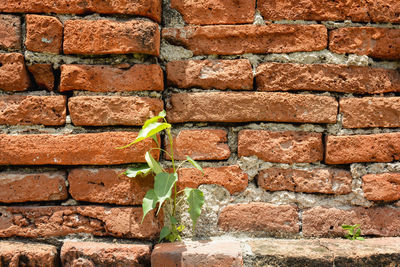 Close-up of brick wall