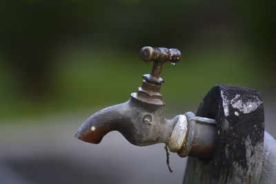 Close-up of rusty metal