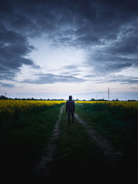 Rear view of man walking on field against sky