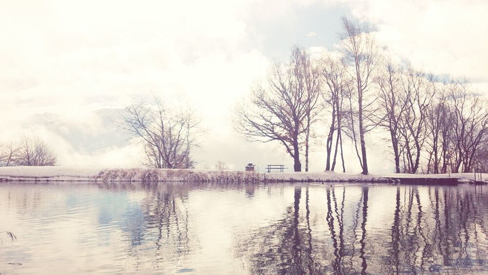 bare tree, tree, water, lake, tranquility, tranquil scene, reflection, waterfront, sky, scenics, branch, nature, beauty in nature, silhouette, river, bird, weather, outdoors, non-urban scene, idyllic