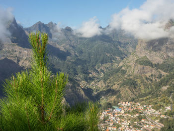 In the mountains of madeira