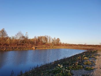 Scenic view of lake against clear blue sky