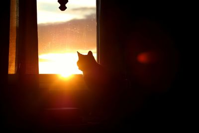 Close-up of silhouette cat against window at sunset