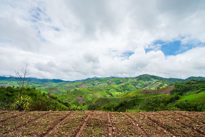 Scenic view of field against sky