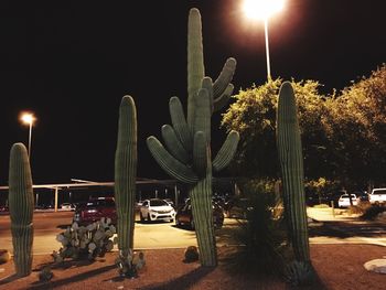 Illuminated street lights at night