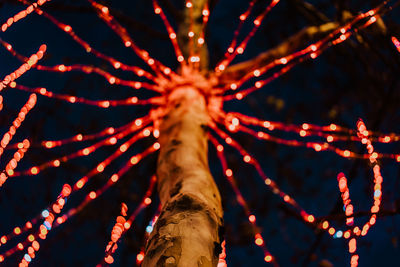 Low angle view of illuminated tree against sky at night