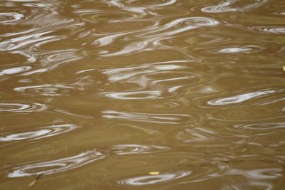 Full frame shot of rippled water