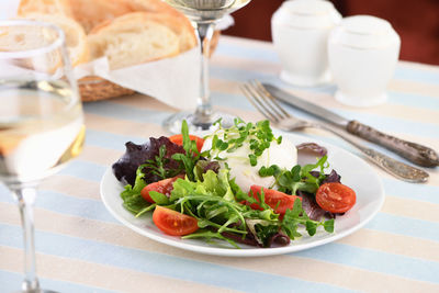 Salad a lettuce  vegetables mix greens portion, arugula, tomatoes, sprouts, mozzarella, olive oil 