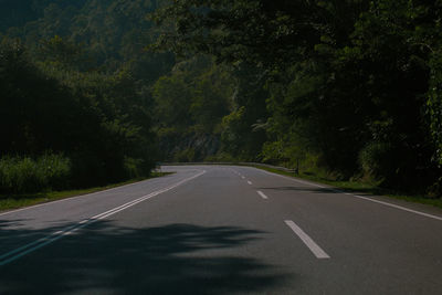 Empty road along trees