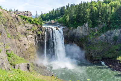 Scenic view of waterfall in forest