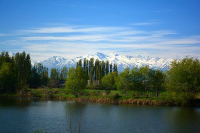 Scenic view of lake in forest against sky