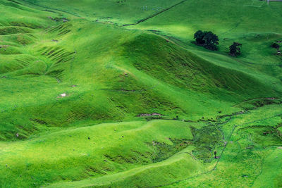 High angle view of green landscape