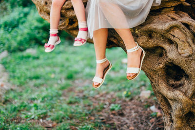 Low section of women wearing shoes on land