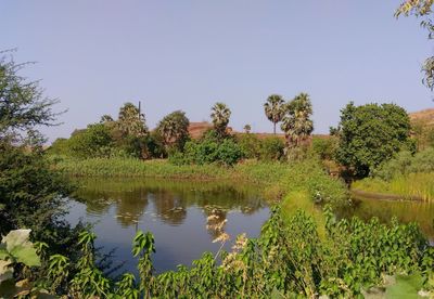 Scenic view of lake against clear sky