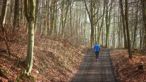 Rear view of man walking on footpath in forest