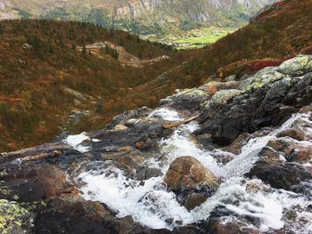 Scenic view of waterfall in forest