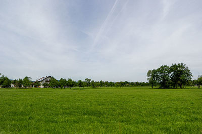 Scenic view of agricultural field against sky