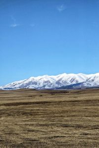 Scenic view of field against clear blue sky