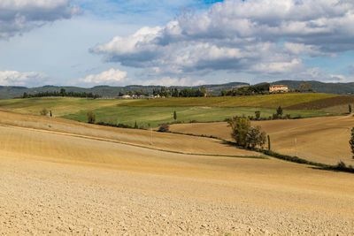 Scenic view of agricultural field against sky