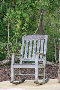 Wooden bench against trees