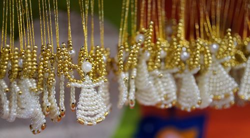 Close-up of flower hanging outdoors