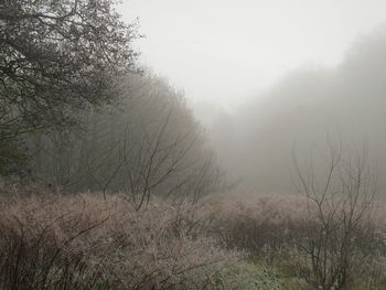 Scenic view of landscape in foggy weather