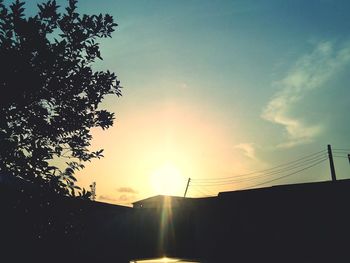 Silhouette of trees at sunset