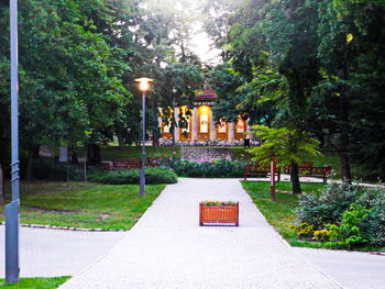 View of trees in park