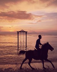 Silhouette man riding horse at beach against sky during sunset