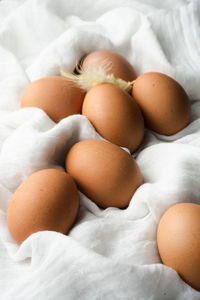High angle view of eggs on bed