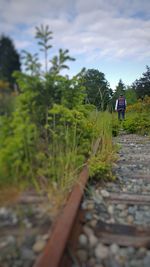 Rear view of man walking on railroad track