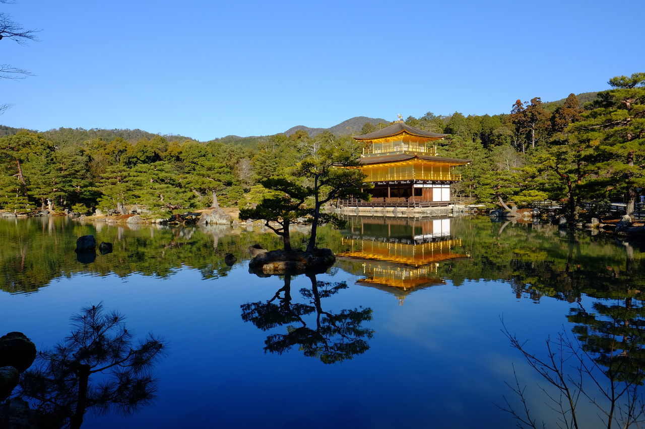 clear sky, tree, water, reflection, built structure, architecture, lake, mountain, blue, tranquility, standing water, tranquil scene, nature, beauty in nature, scenics, growth, day, calm, outdoors, idyllic, no people, sky, green color, non-urban scene, green