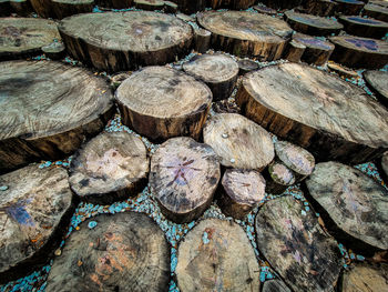 Full frame shot of logs in forest