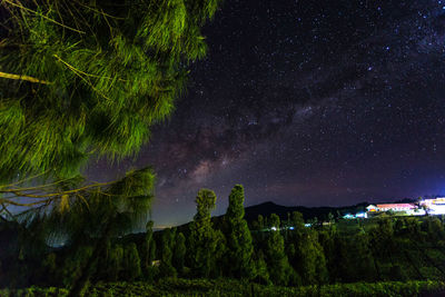 Scenic view of trees against sky at night