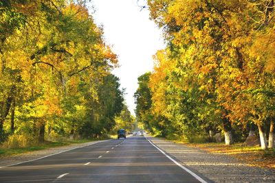 Road amidst trees during autumn